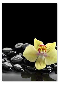 Vertikální Fotoobraz na skle Orchidej a kameny osv-53476359