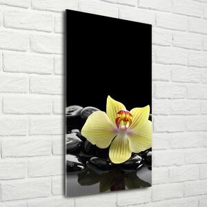 Vertikální Fotoobraz na skle Orchidej a kameny osv-53476359