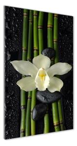 Vertikální Fotoobraz na skle Orchidej a bambus osv-55995271