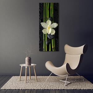 Vertikální Fotoobraz na skle Orchidej a bambus osv-55995271