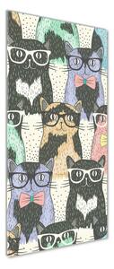 Vertikální Foto obraz skleněný svislý Kočky v brýlích osv-58024892