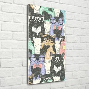 Vertikální Foto obraz skleněný svislý Kočky v brýlích osv-58024892