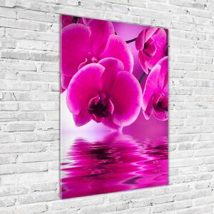 Vertikální Fotoobraz na skle Růžová orchidej osv-58002130