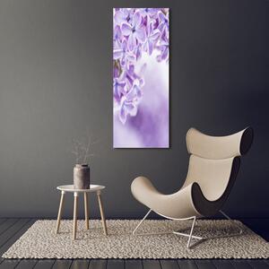 Vertikální Vertikální Foto obraz na plátně do obýváku Květy bzu ocv-58135324