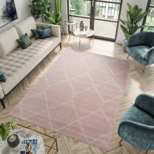 Makro Abra Moderní kusový koberec SPRING H180A Růžový Rozměr: 160x230 cm