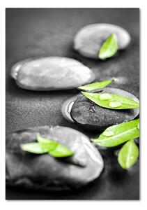 Vertikální Fotoobraz na skle Listí kamení zen osv-59372459