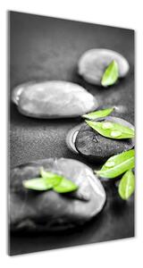 Vertikální Fotoobraz na skle Listí kamení zen osv-59372459