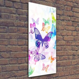 Vertikální Foto obraz skleněný svislý Barevní motýli osv-60051667