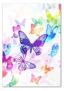 Vertikální Foto obraz skleněný svislý Barevní motýli osv-60051667