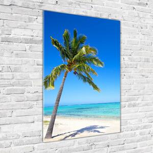 Vertikální Foto obraz skleněný svislý Tropická pláž osv-60645814