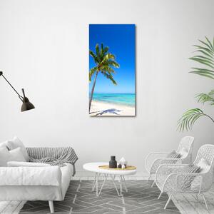 Vertikální Foto obraz skleněný svislý Tropická pláž osv-60645814