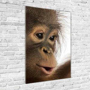 Vertikální Fotoobraz na skle Mladý orangutan osv-61570229