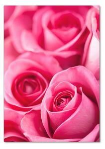 Vertikální Foto obraz sklo tvrzené Růžové růže osv-62775454