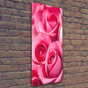 Vertikální Foto obraz sklo tvrzené Růžové růže osv-62775454
