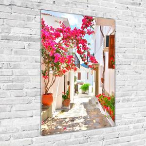 Vertikální Fotoobraz na skle Řecké ulice osv-63218536