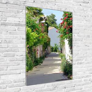 Vertikální Fotoobraz na skle Francouzské uličky osv-64004203