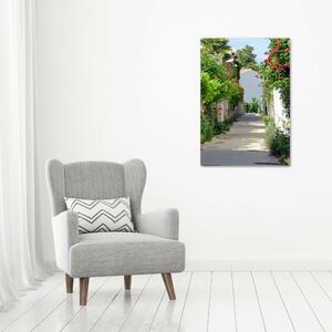 Vertikální Foto obraz na plátně Francouzské uličky ocv-64004203
