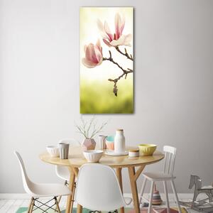 Vertikální Fotoobraz na skle Květy magnolie osv-64406136