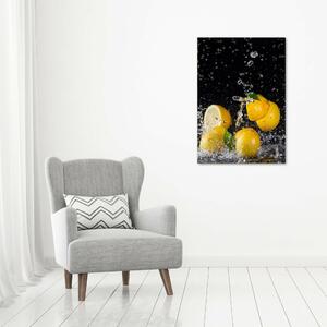 Vertikální Moderní obraz canvas na rámu Citron ocv-64818305