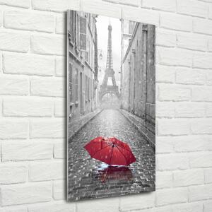 Vertikální Fotoobraz na skle Deštník Francie osv-65130682