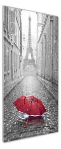 Vertikální Fotoobraz na skle Deštník Francie osv-65130682