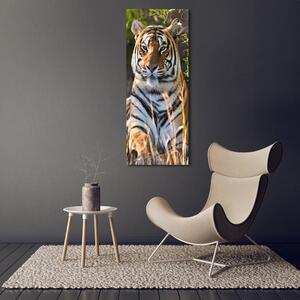 Vertikální Moderní fotoobraz canvas na rámu Tygr ocv-65374714