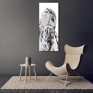 Vertikální Vertikální Foto obraz na plátně do obýváku Bílá sova ocv-65272565