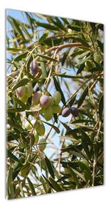 Vertikální Fotoobraz na skle Olivy na stromě osv-65546648