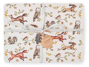 Korková prostírání v sadě 4 ks 21x29 cm Forest Fable – Cooksmart ®