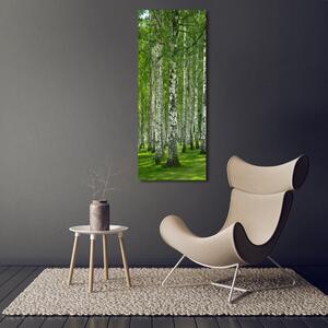 Vertikální Foto obraz sklo tvrzené Břízový les osv-65572526