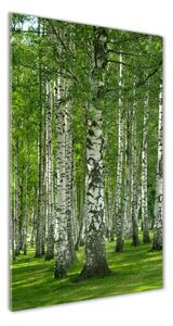 Vertikální Foto obraz sklo tvrzené Břízový les osv-65572526