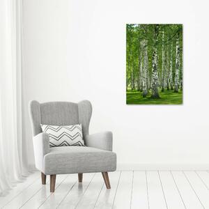 Vertikální Foto obraz canvas Břízový les ocv-65572526
