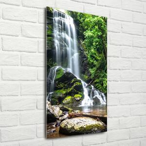 Vertikální Fotoobraz na skle Vodopád v džungli osv-65742204