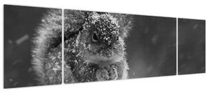 Obraz - Veverka v zimě (170x50 cm)
