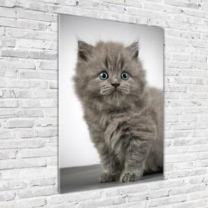 Vertikální Fotoobraz na skle Šedá a britská kočka osv-66248272