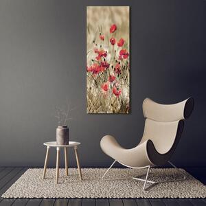 Vertikální Foto obraz canvas Polní květiny ocv-66291805