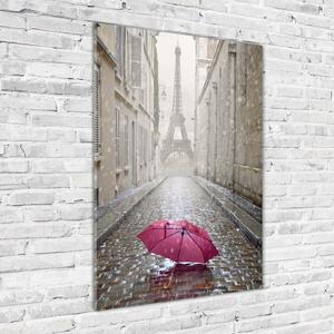 Vertikální Fotoobraz na skle Deštník Francie osv-66343013