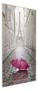 Vertikální Fotoobraz na skle Deštník Francie osv-66343013