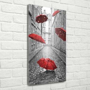 Vertikální Fotoobraz na skle Deštník Francie osv-66343093