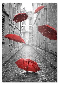 Vertikální Fotoobraz na skle Deštník Francie osv-66343093