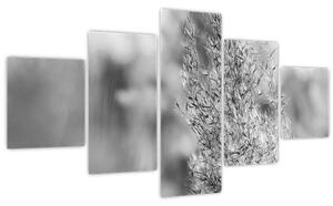 Obraz - Boho pampas grass (125x70 cm)