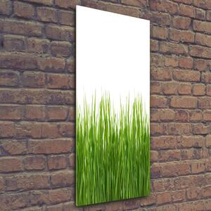 Vertikální Foto obraz sklo tvrzené Zelená tráva osv-66714934