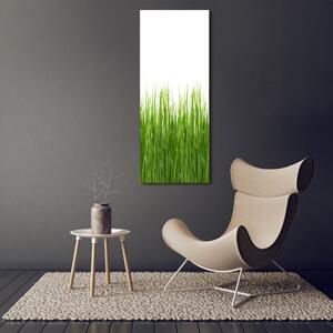 Vertikální Foto obraz na plátně Zelená tráva ocv-66714934