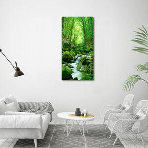 Vertikální Fotoobraz na skle Potok v džungli osv-66843230