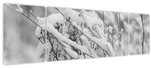 Obraz - Zasněžené větve (170x50 cm)