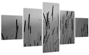 Obraz - Stébla trávy (125x70 cm)
