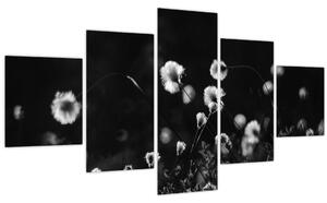Obraz - Louka s cottongrass N⁰1 (125x70 cm)