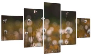 Obraz - Louka s cottongrass N⁰2 (125x70 cm)