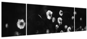 Obraz - Louka s cottongrass N⁰1 (170x50 cm)