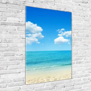 Vertikální Foto obraz skleněný svislý Tropická pláž osv-67235061